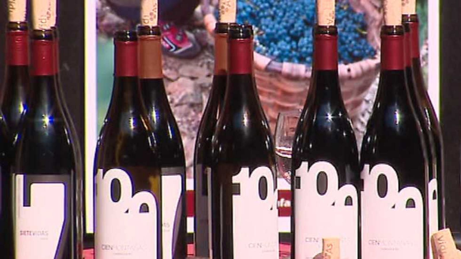 España en 24 horas - 13/10/15  - Ver ahora