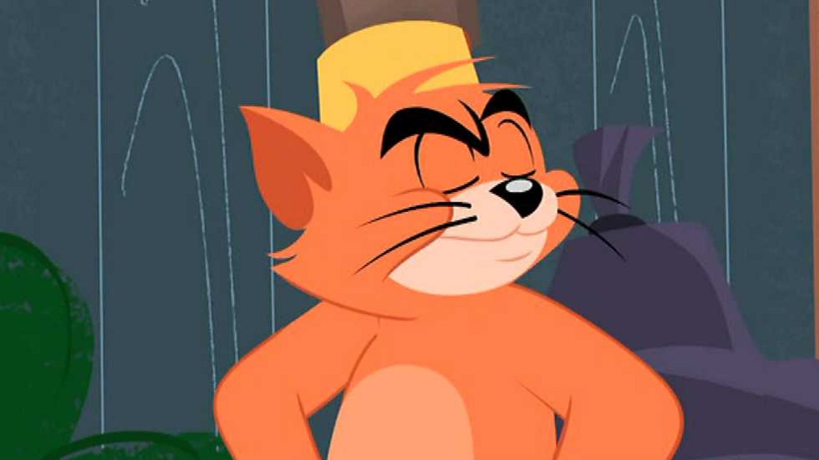 El mejor gato - Tom y Jerry | Ver