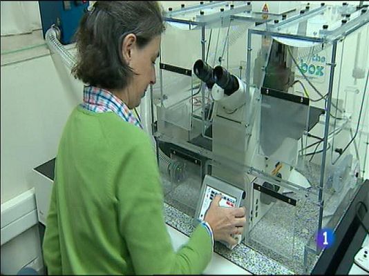 Panorama Regional - Panorama Regional - 14/10/15