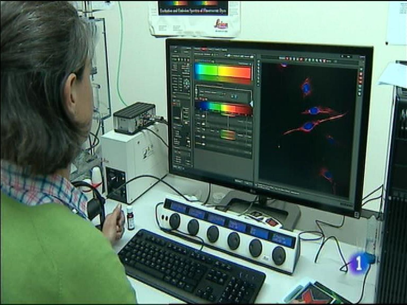 Panorama Regional 2 - 14/10/15 | Ver