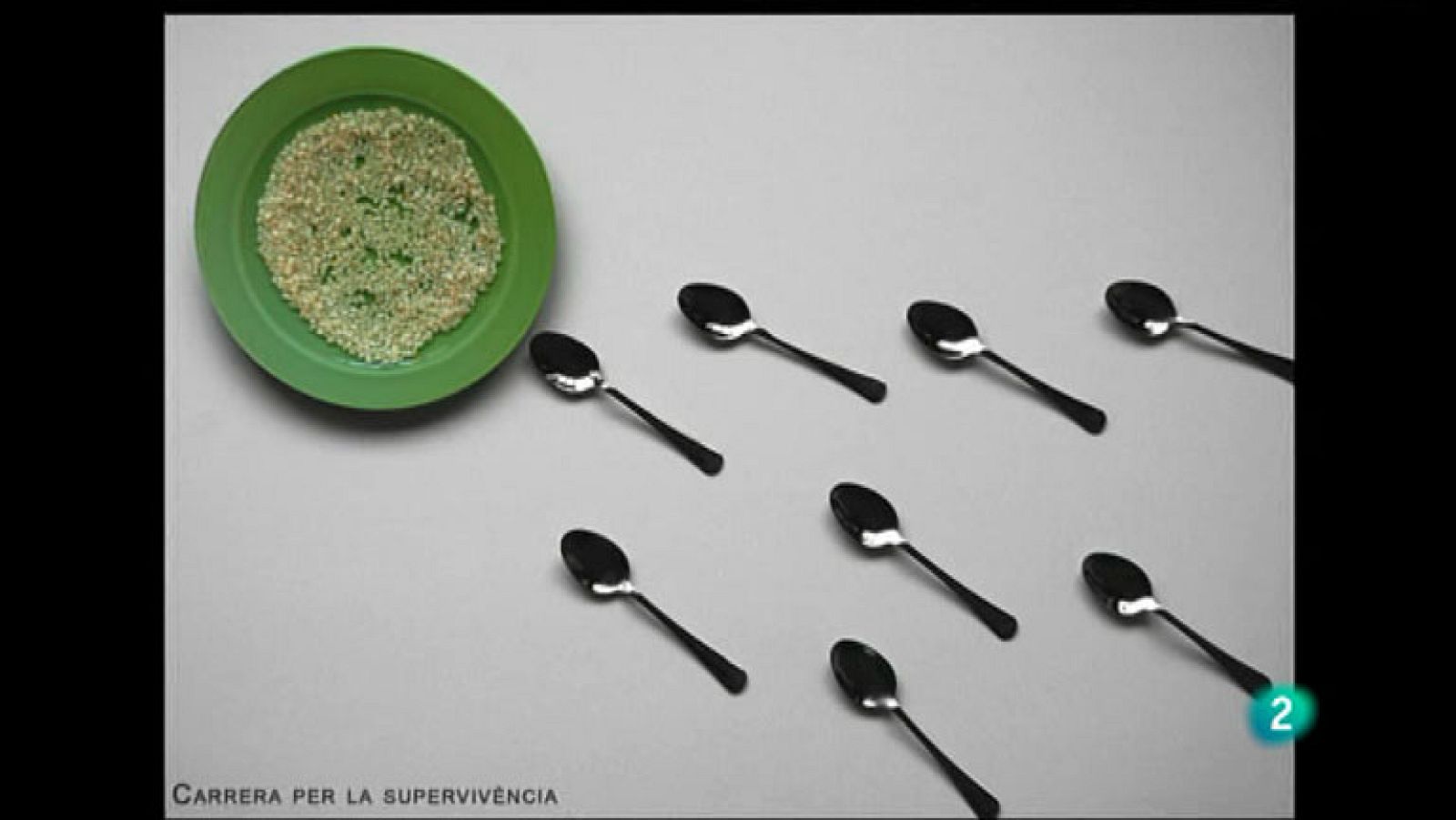 La Aventura del Saber. Serie Boek Visual. Alex Monfort