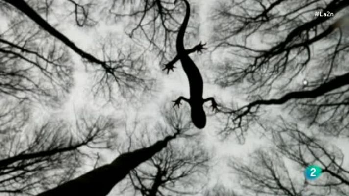 La 2 Noticias - Las mejores fotos de Naturaleza del año