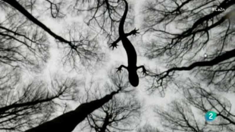 La 2 Noticias - Las mejores fotos de Naturaleza del año