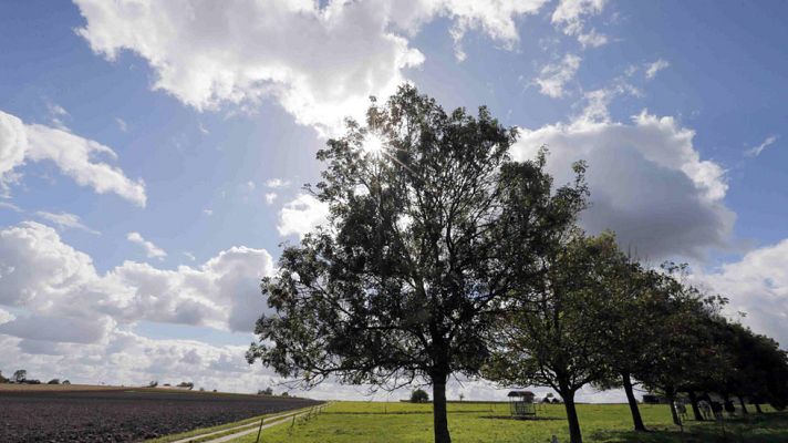 El tiempo - Temperaturas en ascenso en la mitad norte y lluvia en Canarias