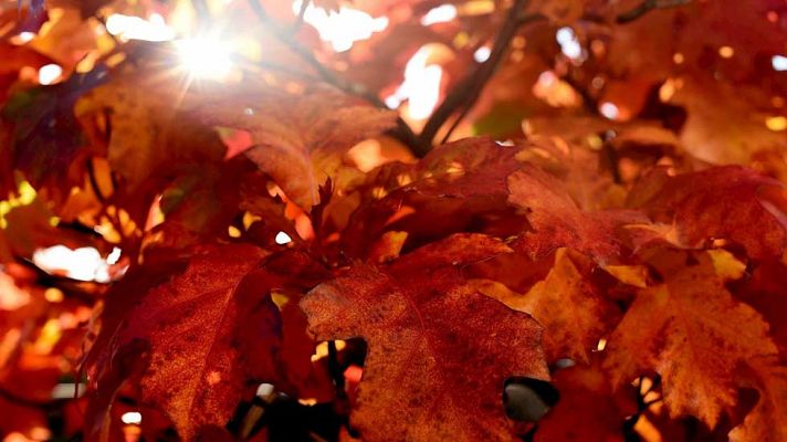 El tiempo - Intervalos nubosos en el oeste de Andalucía y el área mediterránea