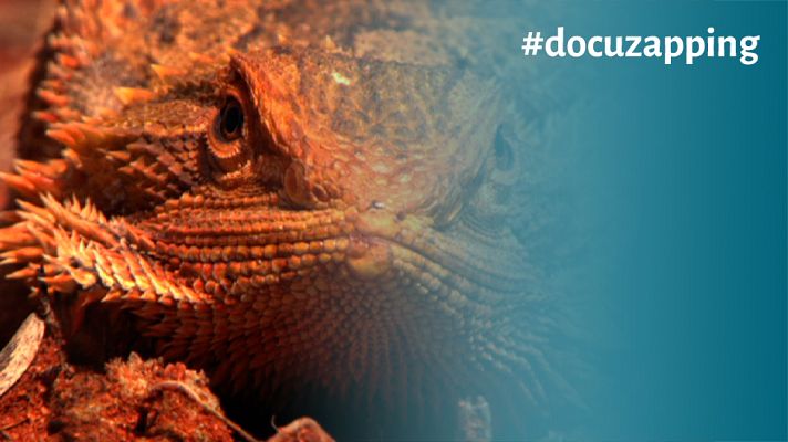 Otros documentales - Los mejores documentales de rtve.es