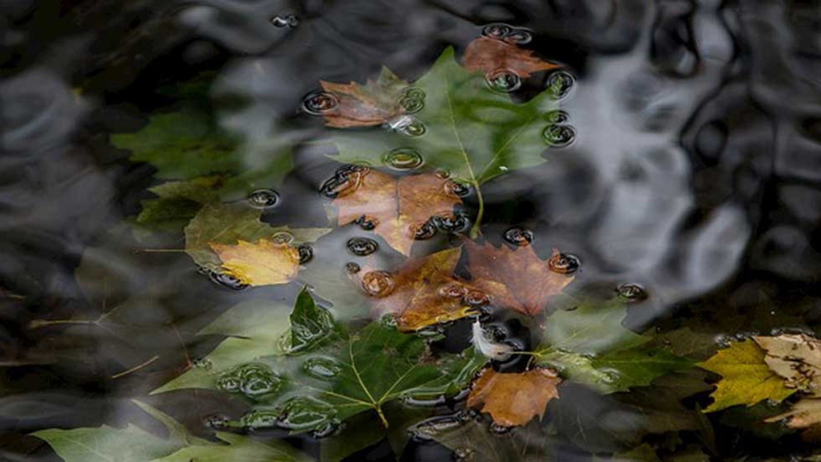El Tiempo en la Comunidad de Madrid - 16/10/15