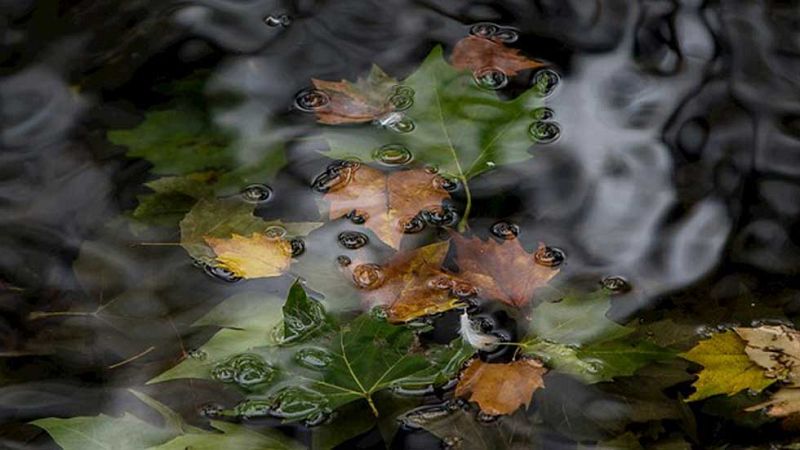 El Tiempo en la Comunidad de Madrid - 16/10/15