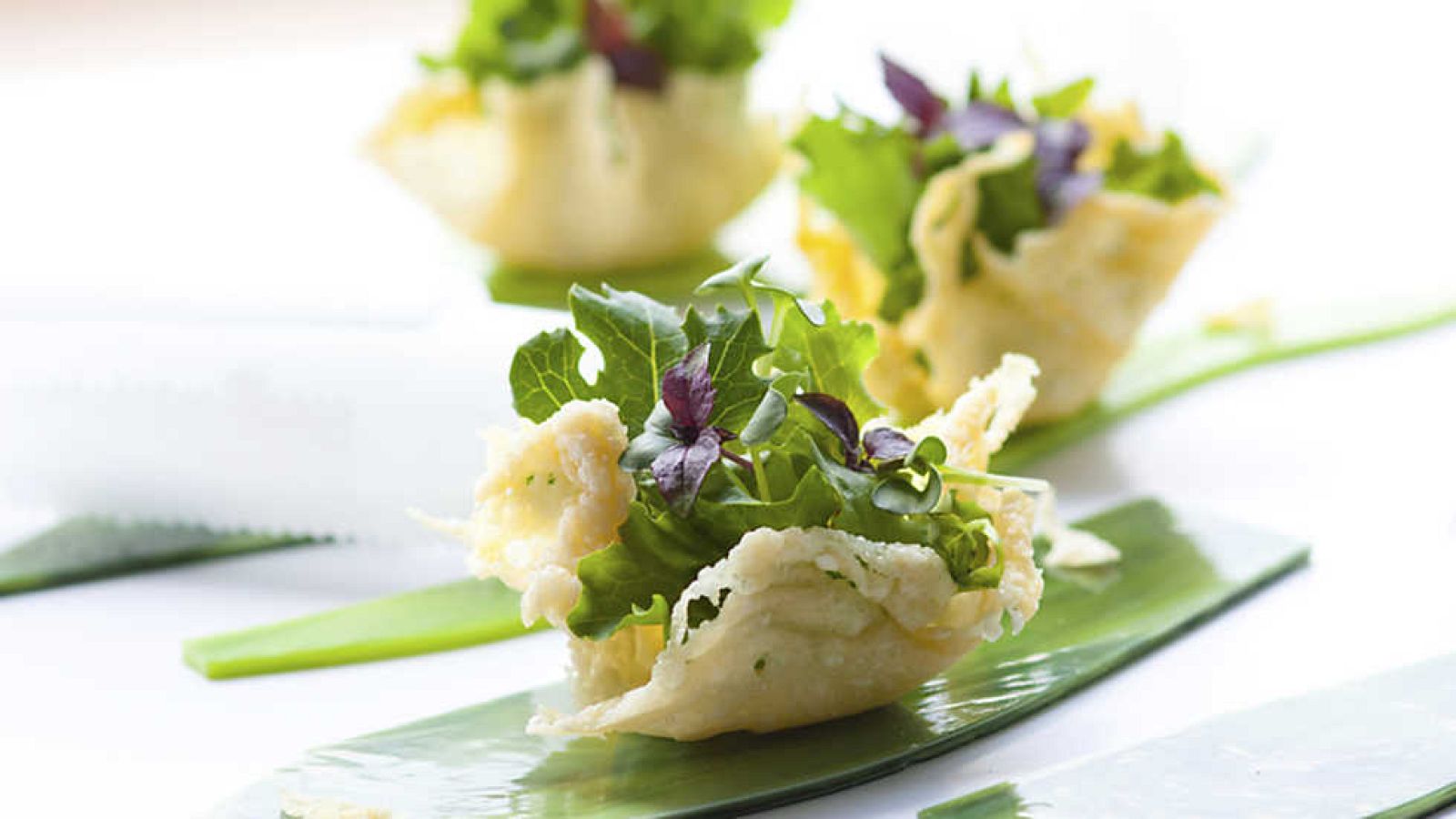 Informe Semanal - Cocina en libertad - ver ahora