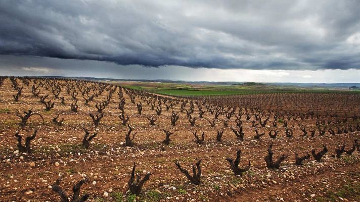 El tiempo - Lluvias generalizadas y viento fuerte en Galicia y oeste de Andalucía