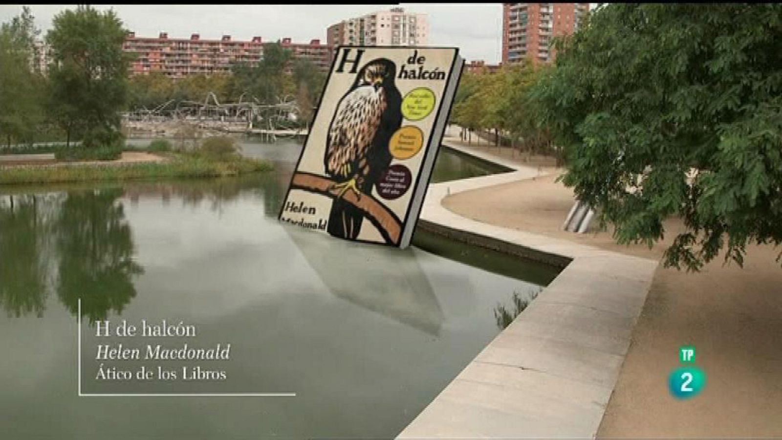 Página Dos - Las recomendaciones del programa