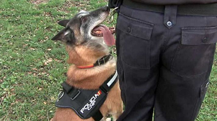 La aventura del Saber - La aventura del saber - 19/10/15