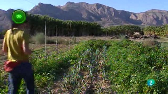 Agrosfera - Agrosfera - En primer plano - Premios Innovación para mujeres rurales