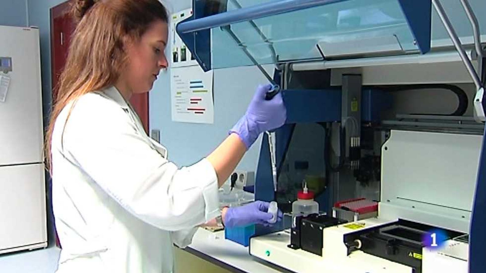 L'Informatiu - Comunitat Valenciana 2 - 20/10/15 - Ver ahora