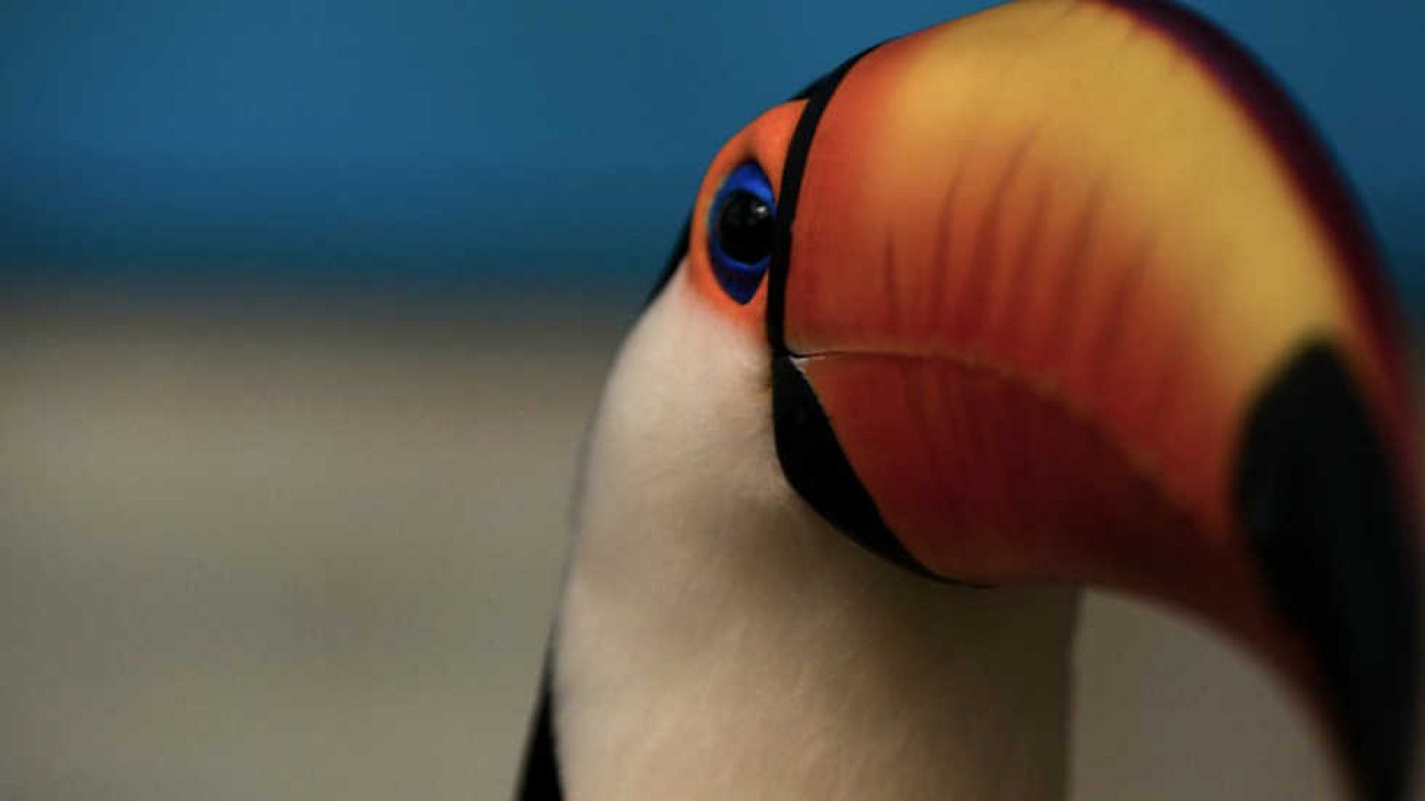 Grandes documentales - Brasil. Una historia natural: El centro salvaje - Ver ahora