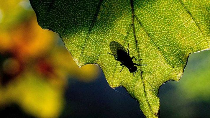 Informativo de Madrid - El Tiempo en la Comunidad de Madrid - 21/10/15