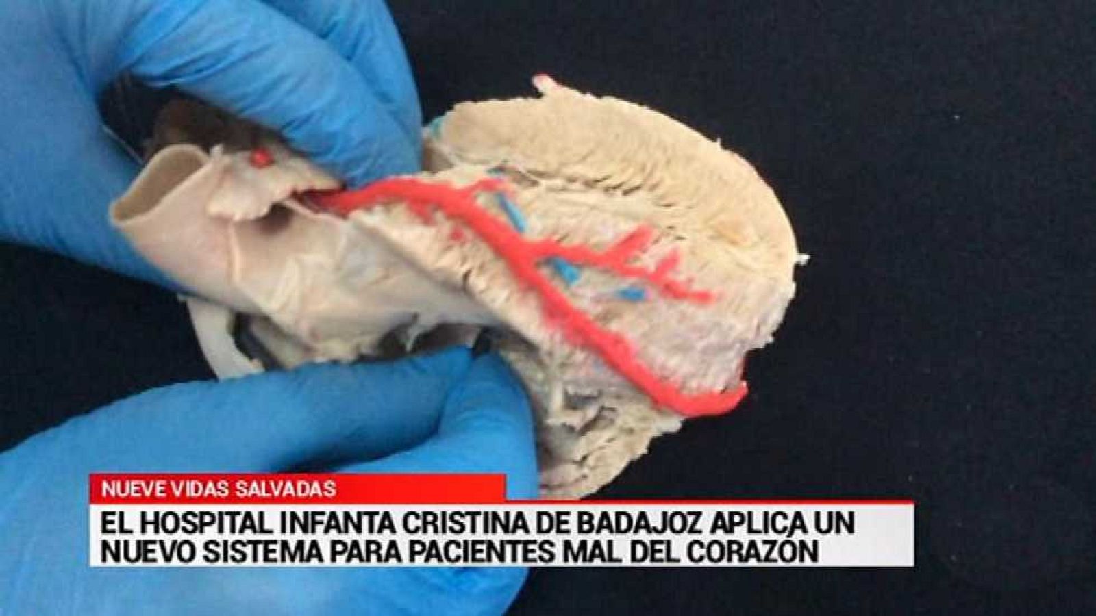 España en 24 horas - 21/10/15  - Ver ahora