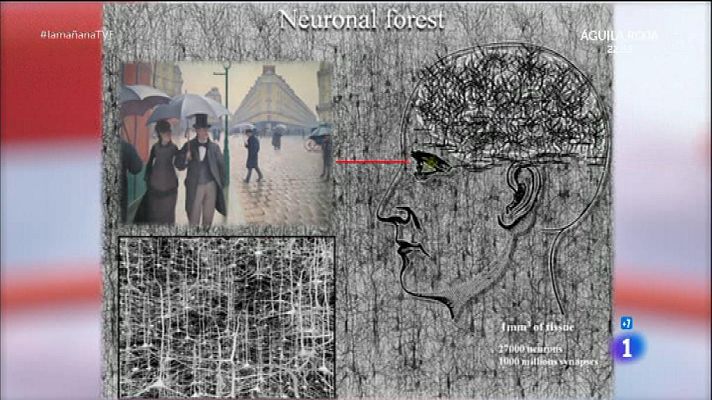 La mañana - Pérdida de memoria