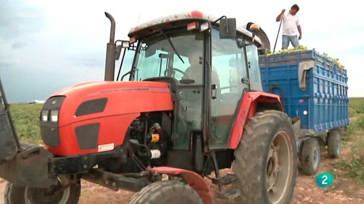 Agrosfera - Agrosfera - 24/10/15