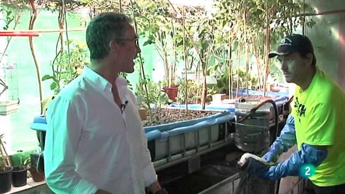 España en comunidad - El milagro de los peces