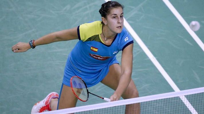 Bádminton - Super Series 'French Open' Final