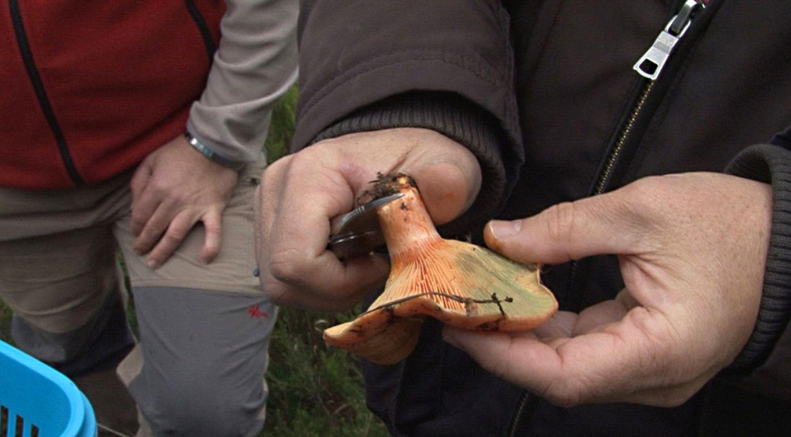Comando Actualidad - El otoño es un filón  - Avance
