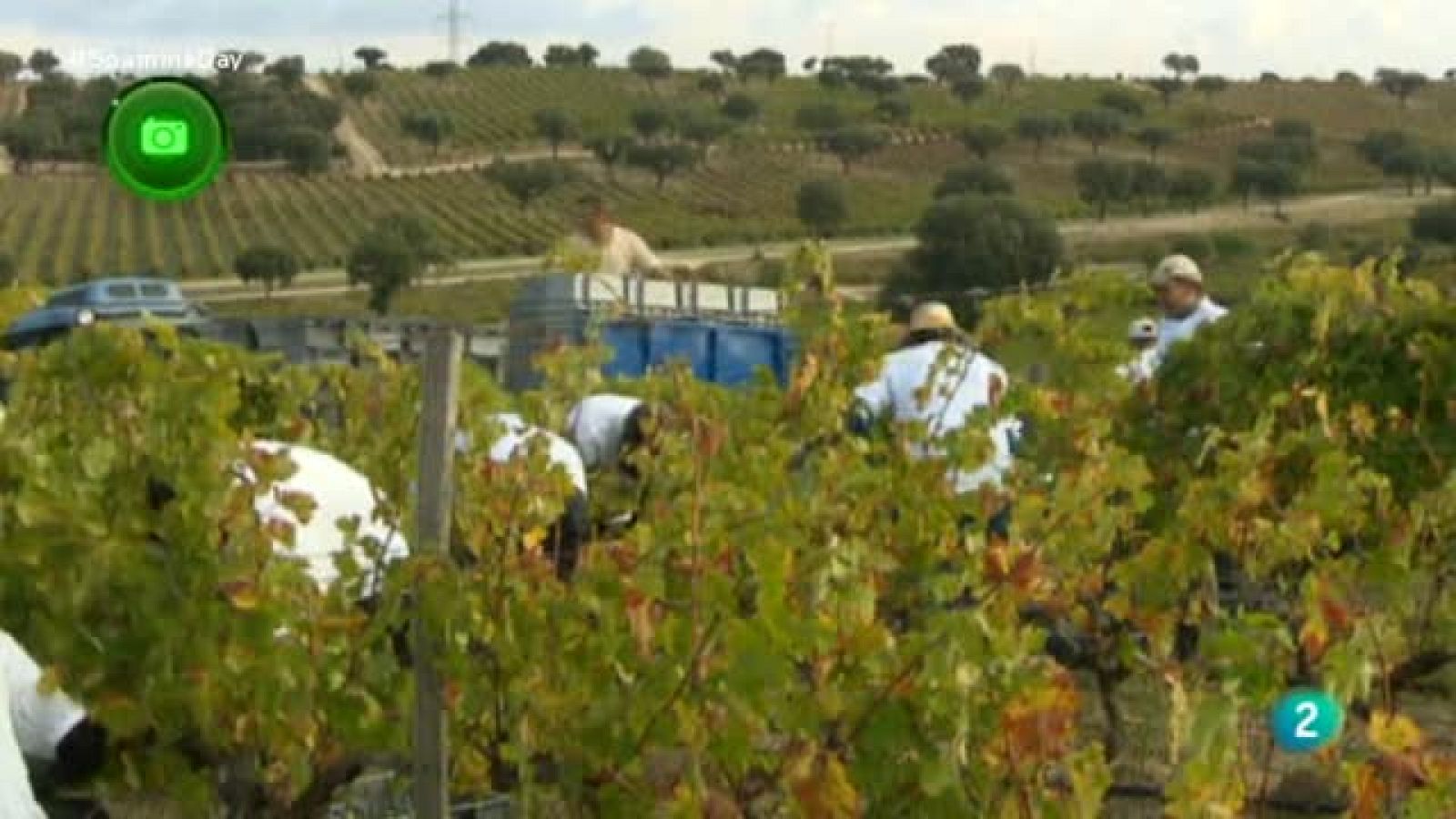 Agrosfera - En clave rural - Villamanta (Madrid)