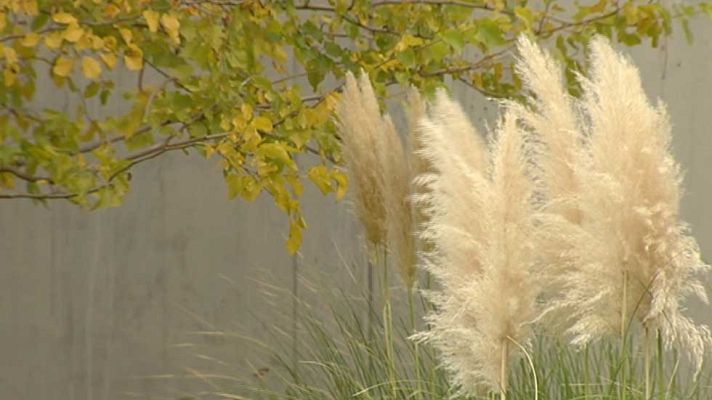 Informativo de Madrid - El Tiempo en la Comunidad de Madrid - 26/10/15