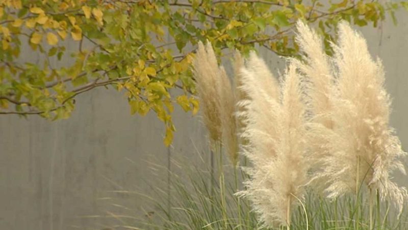 El Tiempo en la Comunidad de Madrid - 26/10/15