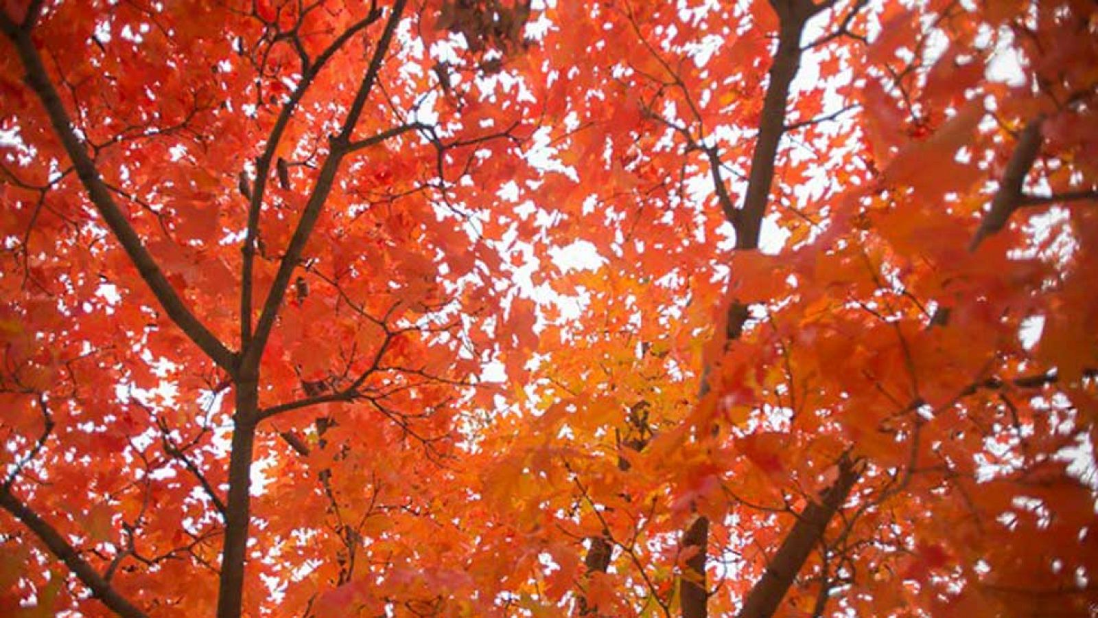 El Tiempo en la Comunidad de Madrid - 28/10/15