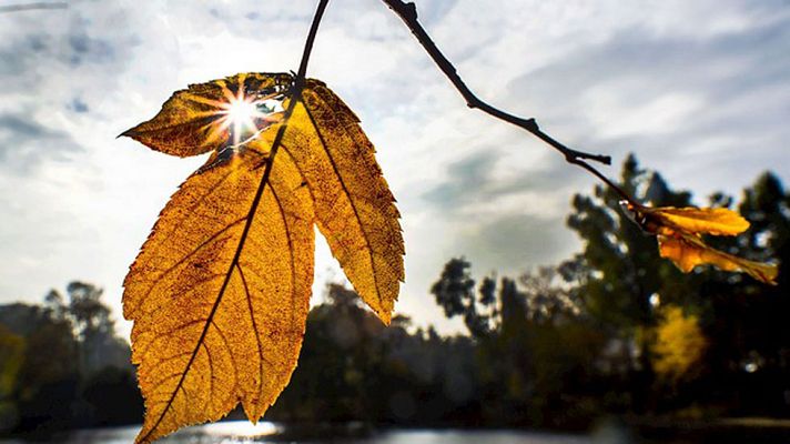 El tiempo - Lluvias persistentes y viento en Galicia y en litoral noroeste