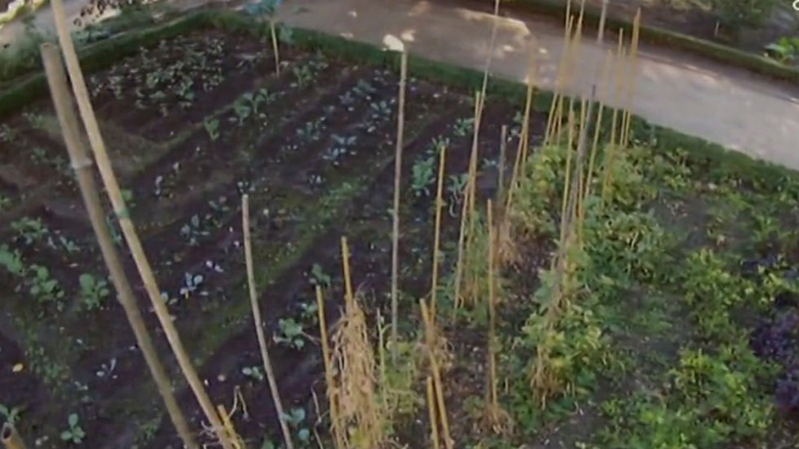 Huerto botánico en la gran ciudad