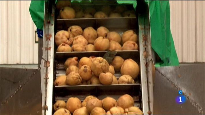 Comando Actualidad - El otoño es un filón - El membrillo