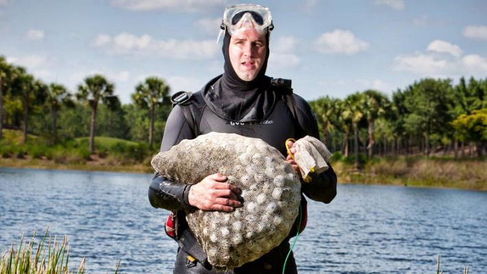 Telediario 1 - Cómo hacerse millonario 'cazando' pelotas de golf