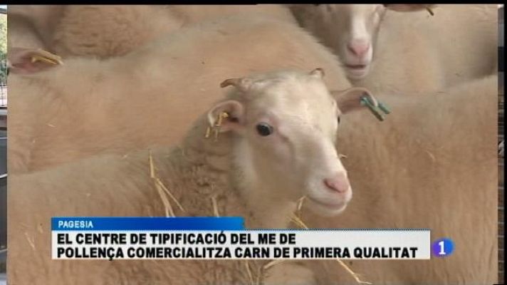 Informatiu Balear - En marxa el nou Centre de Tipificació de Bens