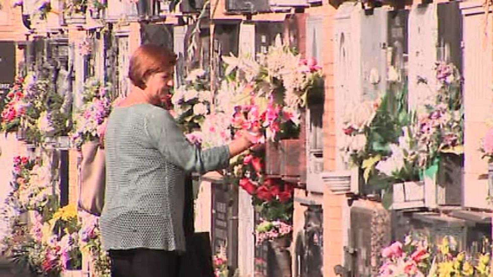 L'Informatiu - Comunitat Valenciana 2 - 30/10/15 -  ver ahora