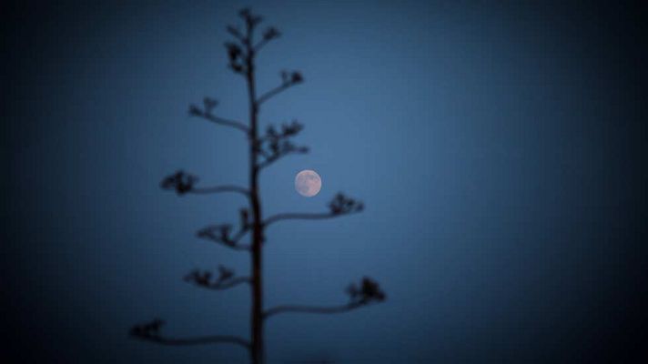El tiempo - Lluvia fuerte en Andalucía y Levante, y viento en el sureste