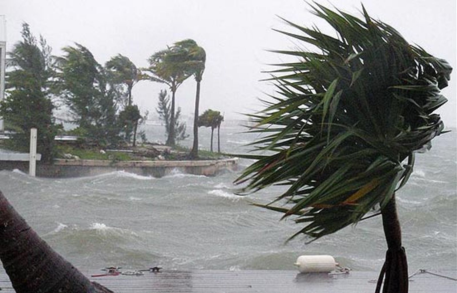 El huracán "Paloma" se fortalece a categoría 3 en dirección a Cuba | Ver