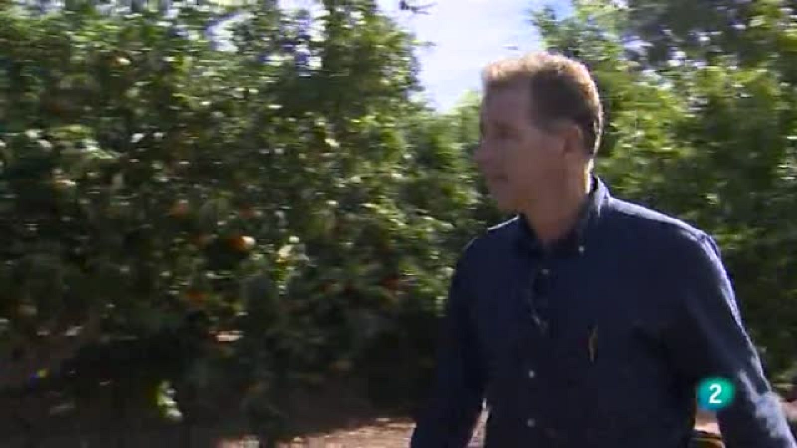 Arosfera - En primer plano - Seguros agrarios