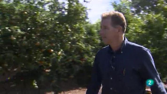 Agrosfera - Seguros agrarios