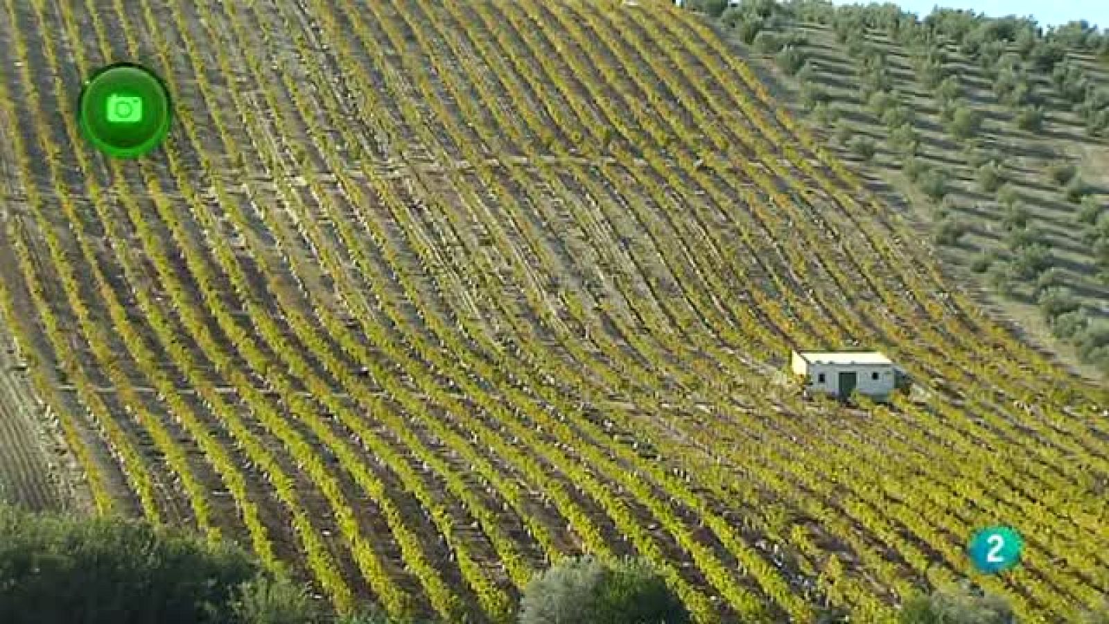 Agrosfera- En clave rural- Montilla