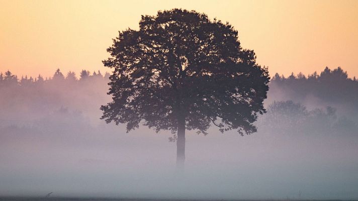El tiempo - Lluvia fuerte en gran parte de península y temperaturas en descenso