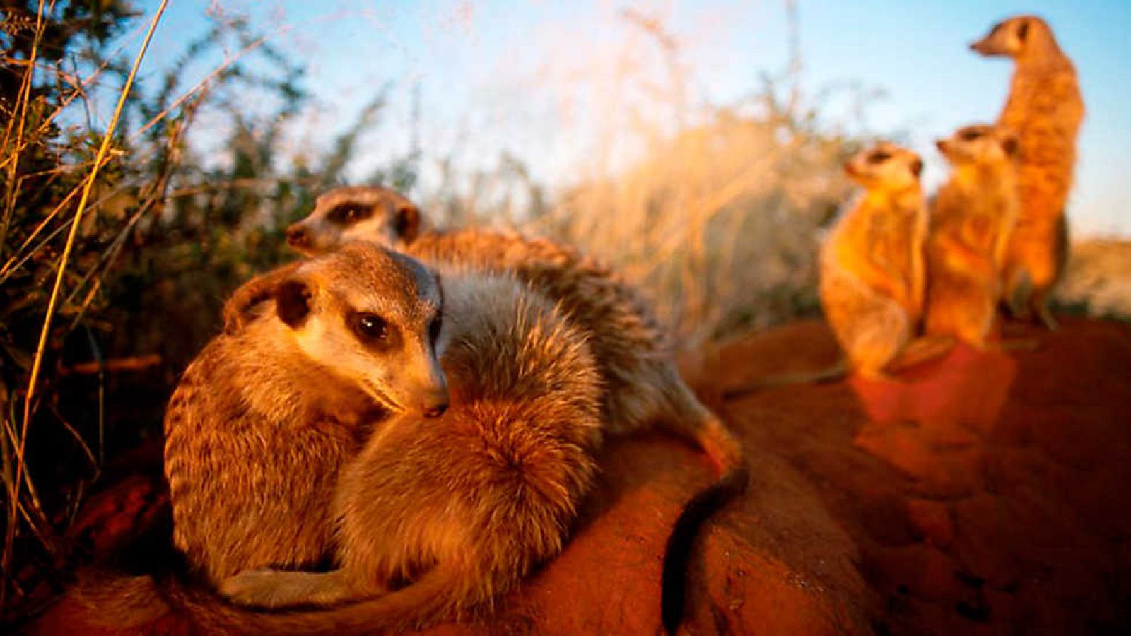 Grandes documentales - 24 horas en el planeta Tierra: El sol - Ver ahora