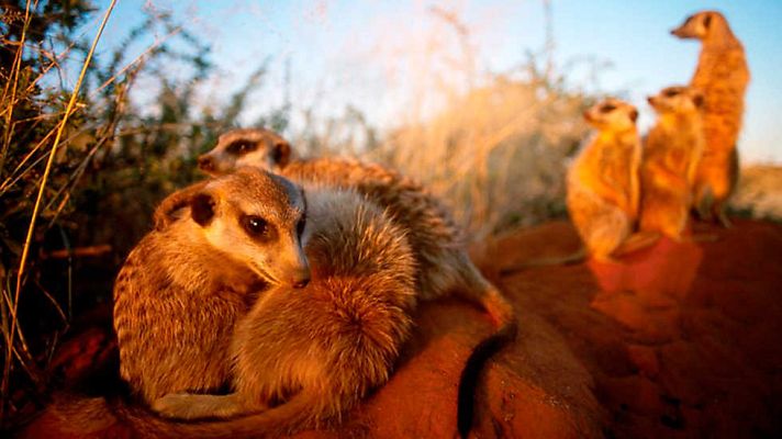 Grandes documentales - 24 horas en el planeta Tierra: El sol