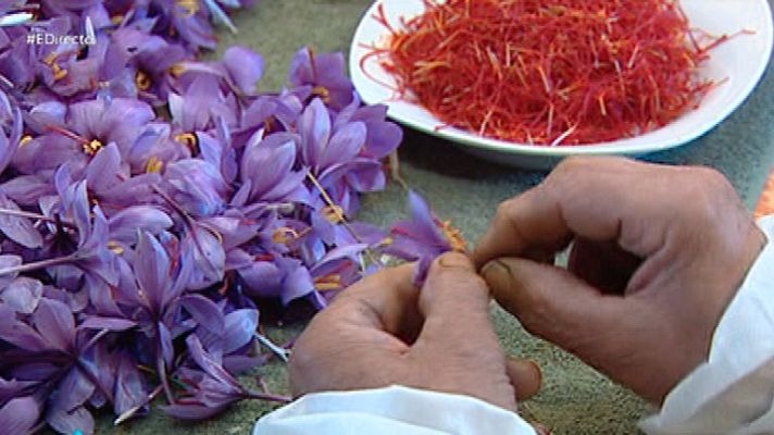 España Directo - El azafrán, el oro rojo de La Mancha