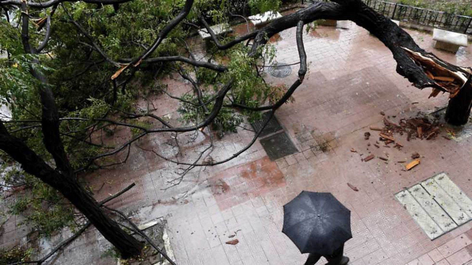 Telediario - 21 horas - 02/11/15  - ver ahora