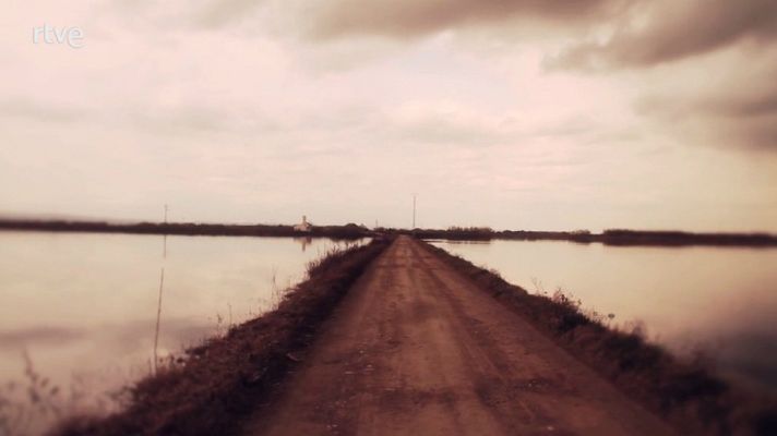 Palabra Voyeur - Palabra Voyeur - El viento y la hoja. Abbas Kiarostami