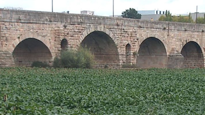 España Directo - El camalote, la planta más peligrosa de Extremadura