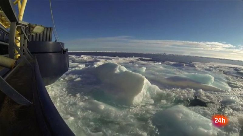 Lab24 - Reportaje - Los oídos del mar