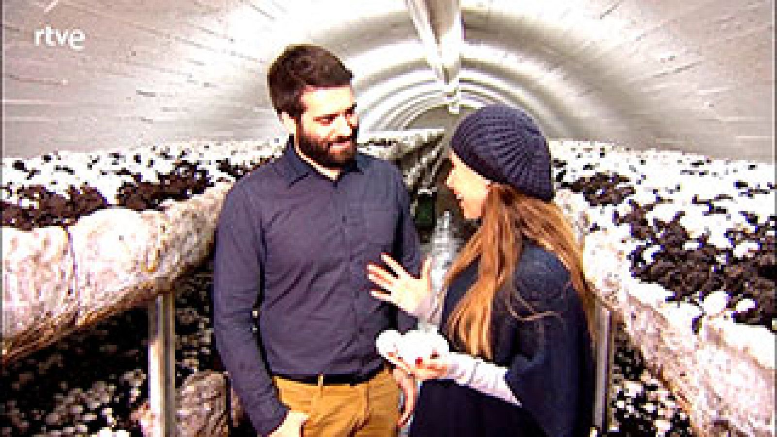 El champiñón ayuda a frenar la caída del pelo